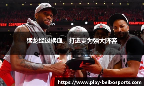 猛龙经过换血,打造更为强大阵容